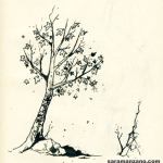Arbol