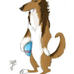 Perro con pelota